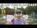 35 VEGGIES To Plant In October For A BEAUTIFUL Fall Garden!