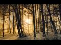Silent Night ( Stille Nacht, Sung By The Vienna ...