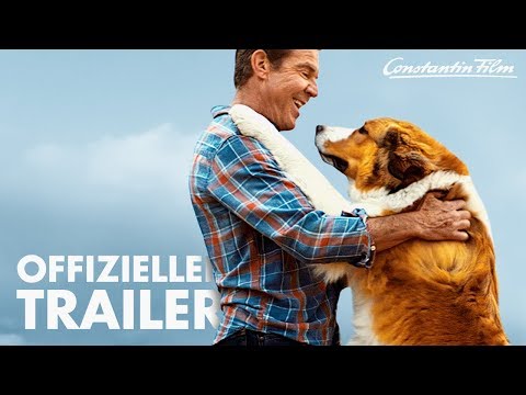 Trailer Bailey - Ein Hund kehrt zurück