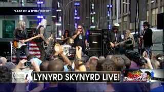 Lynyrd Skynyrd - Last of a Dyin&#39; Breed