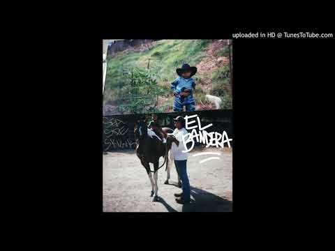 seaside skunk - el bandera