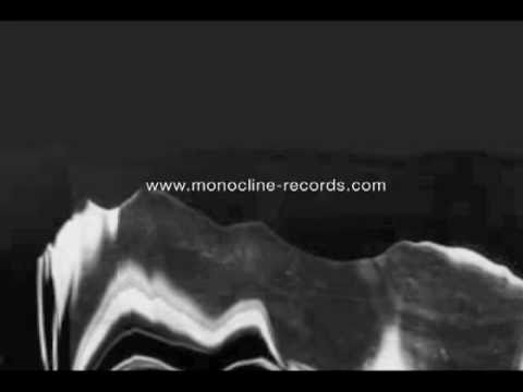 [MONOCLI37]  Insect Elektrika - Pregnant Electricity LP (Video Promo)