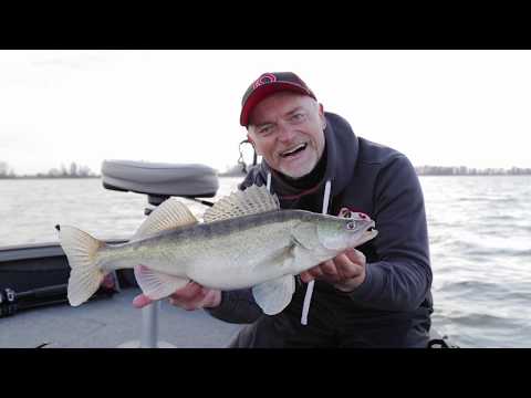 Jubi-Wobbler: Die Legende ist zurück!