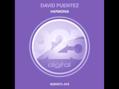 David Puentez Vs Tim Berg - Seek Harmonia (Ylius Mashup).wmv