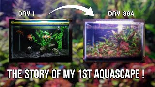 The story of my 1st aquascape. The Cryptocoryne Jungle .