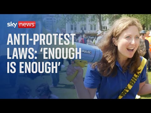 Just Stop Oil and Extinction Rebellion among activists protesting against Public Order law