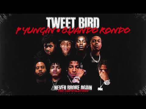 Youngboy Never Broke Again, RJAE, Meechy Baby, ROJAYMLP, P Yungin - Tweet Bird [Clean]