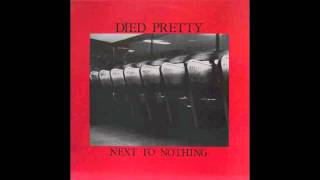 Died Pretty - World Without