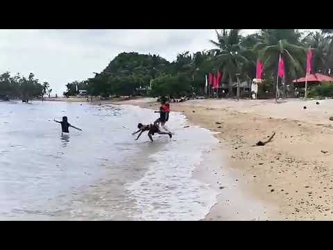 Diocales beach resort Mabutag Buenavista Quezon