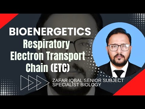Respiratory Electron Transport Chain/ detailed lecture/ 1st year biology 