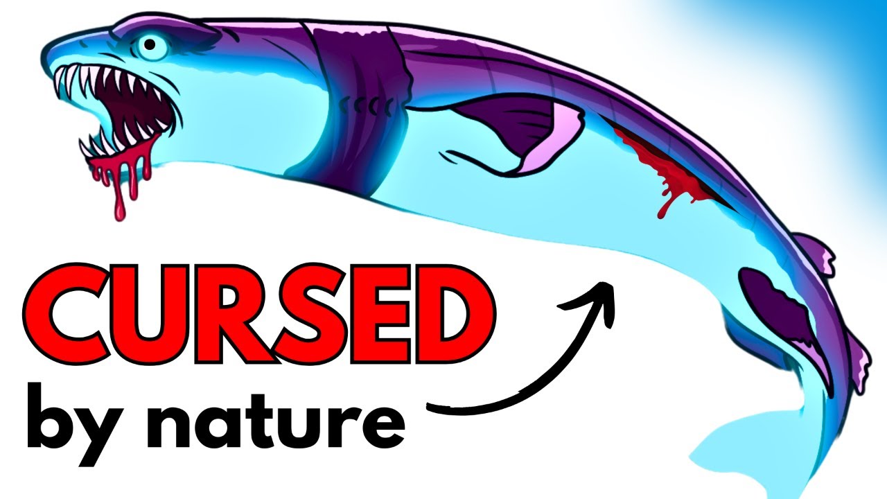 Why it sucks to be born as a Cookiecutter Shark (Cursed Monster!)
