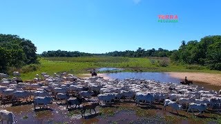 Miniatura do vídeo