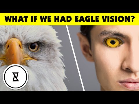 What If We Had Eagle Vision?