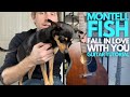 Fall In Love With You By Montell Fish Guitar Tutorial Guitar Lessons With Stuart