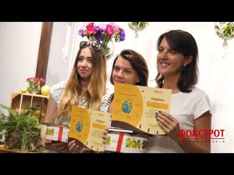 Як організувати еко-рейтинг співробітників?