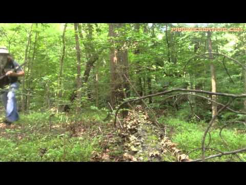 Bloopers/Outtakes- Paratacsurvival