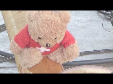 "Alphorn goes Latin" Alphorn & Bandoneon