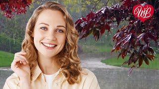 ЖИЗНЬ - НАГРАДА ♥ ЗАВОДНОЙ ЗАЖИГАТЕЛЬНЫЙ ШАНСОН В ДОРОГУ WLV ♥ RUSSIAN MUSIC HITS WLV