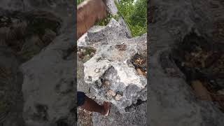 Download lagu BATU KARANG BERNADA GONG ROTE (BATU MEKO) mp3