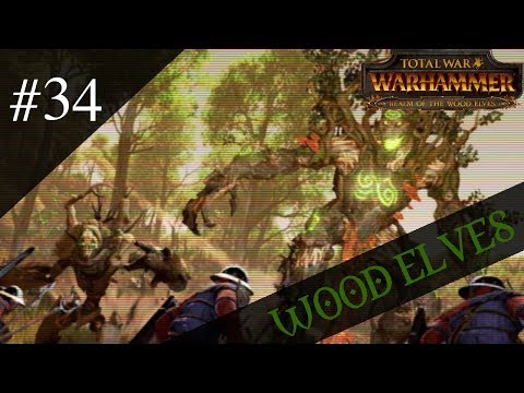 Dr.Z hraje... ☠ Total War: WARHAMMER CZ 34 ☠ - Lesní elfové!