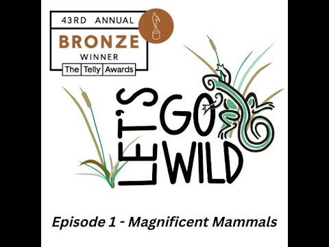 Promotional video thumbnail 3 for Wildlife On The Move