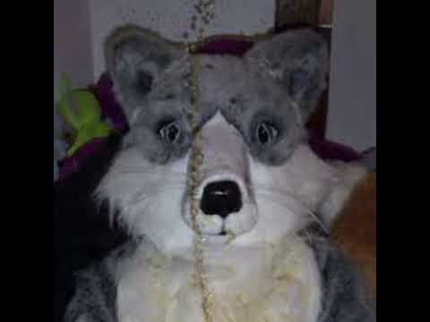 THOT HUNTER - I HATE MYSELF