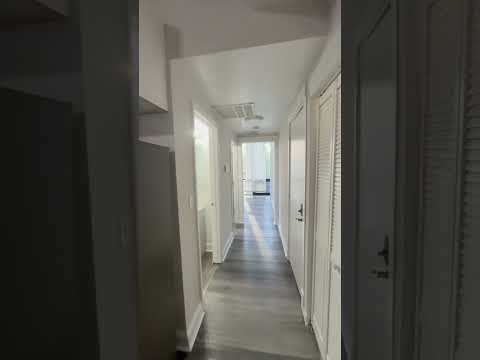 948 N. Damen - Video 2 of 2