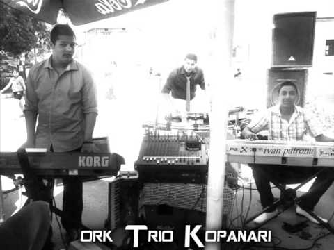 ivan patrona stankele