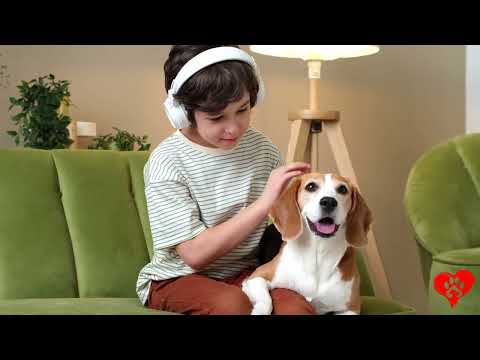 A Brief History of Dogs - How We Domesticated Dogs