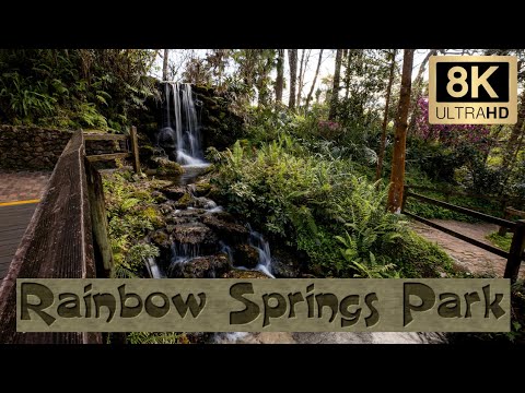 Special 800th Video!  A Walking Tour of Rainbow Springs Park & Comparing It to its 1970's version!