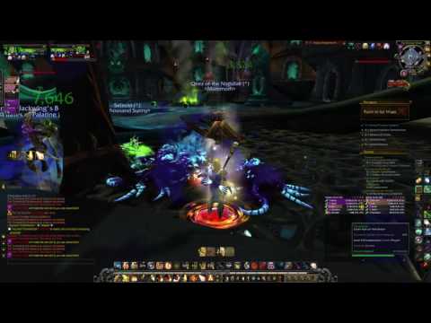 Mythic Vault of the Wardens - Inquisitor Tormentorum (Holy Paladin POV)
