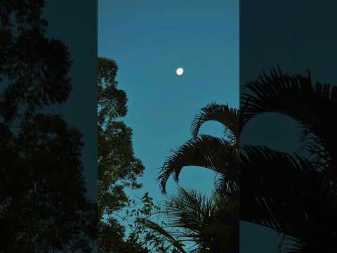 Chácara Santa Maria, Pratápolis-MG.