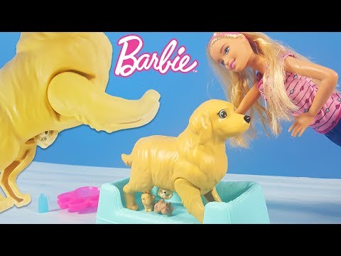 Barbie Yeni Doğum Yapan Köpek | Yeni Barbie Oyuncak Videoları | Evcilik TV