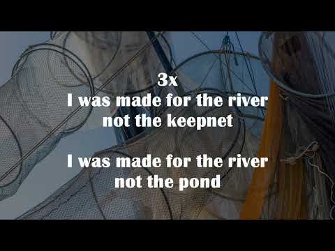 Thumbnail for I Won't Take The Bait video