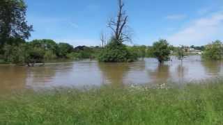 preview picture of video '2013 June 5th Flooding in Dresden // Waldschlösschenbrücke - Hochwasser'