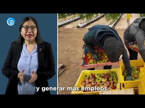 Opinión: Dos realidades el de la 4T y el de millones de mexicanos