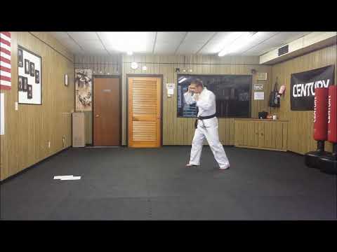 Lesson 55 Basic Fighting Combinations