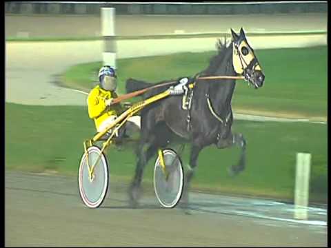 Trotto 26/11/2015 - 7° corsa