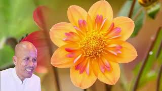 កុំចង់ឲ្យជីវិតយើងដូចគេ សំដែងដោយ​ បណ្ឌិតប៊ុតសាវង្ស