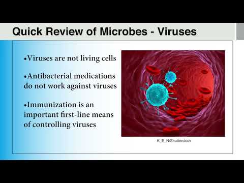 Module 1: Introduction to Infectious Diseases