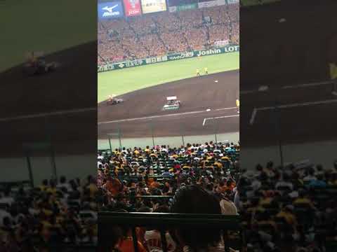 園芸 クリケット