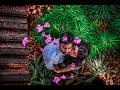 Godwin Nikhitha Save The Date 18 11 2020 L Romance L JINTUSPHOTOGRAPHY
