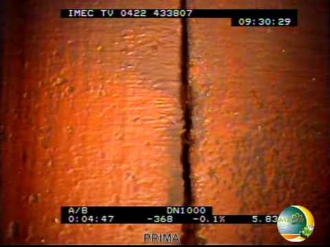 Mal di schiena e addome cause nelle donne paga piedi Trattamento di articolazioni del ginocchio in Togliatti