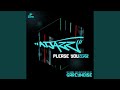 Please You (Original Extended Mix)