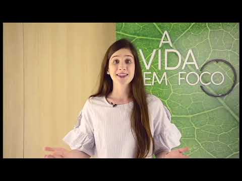 A Vida em Foco #236 - Vida de médium - parte 1