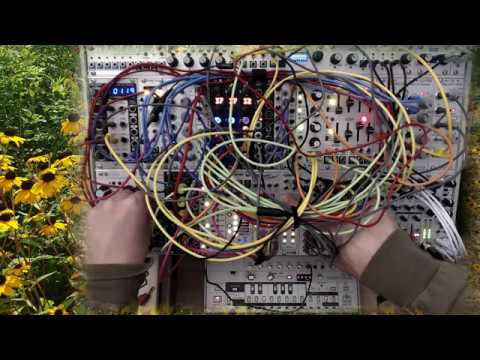 Eurorack Modular Live Jam - Tech-House / Acid / Dub-Tech - Roland TB-03 Synced To The System