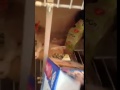 Pop Tart Adventures Episode 1 The Phantom Menace