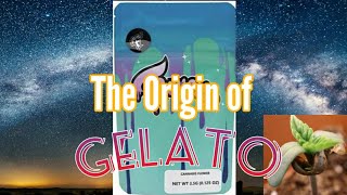 The Origins of Gelato