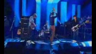 babyshambles - fuck forever (live on jools holland)