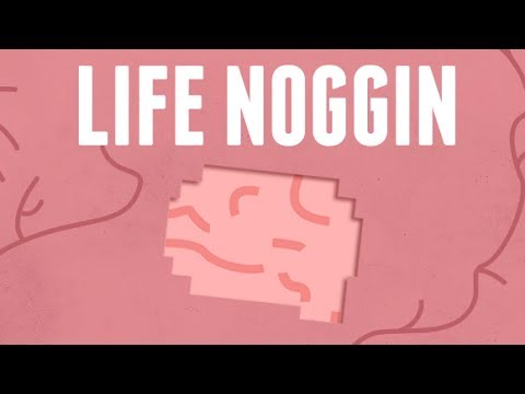 歡迎來到生命鼻祖！ (Welcome To Life Noggin!)